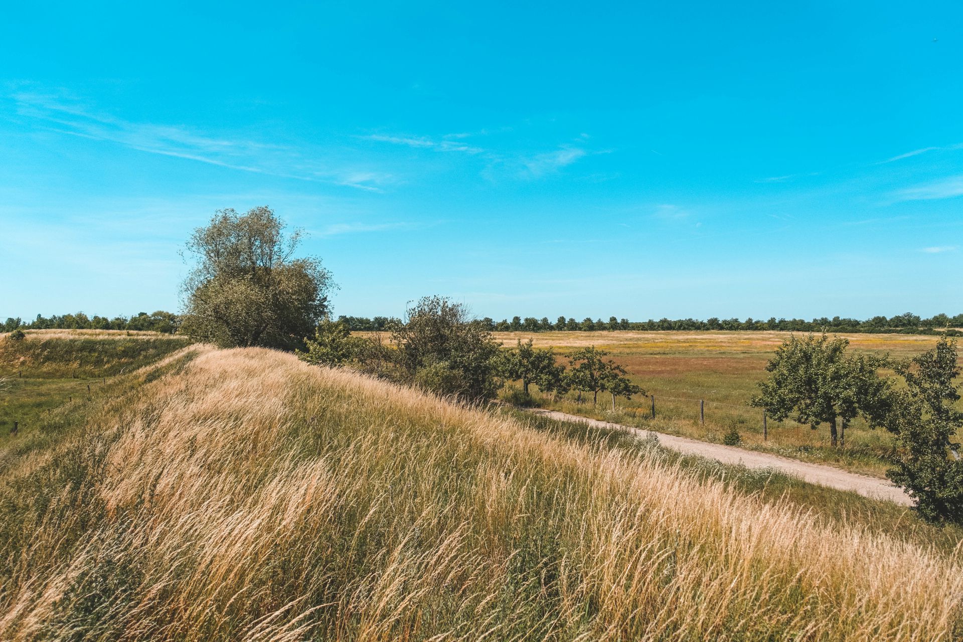 Rieselfelder Falkenberg