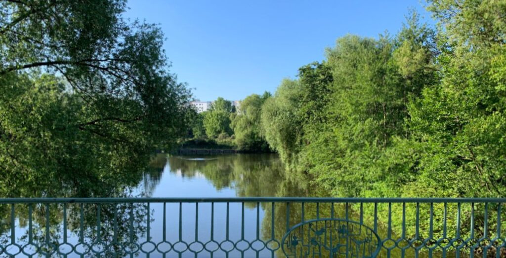 Brückengeländer und grün bewachsenes Ufer am Fennpfuhl (Gewässer) im Fennpfuhlpark in Lichtenberg.